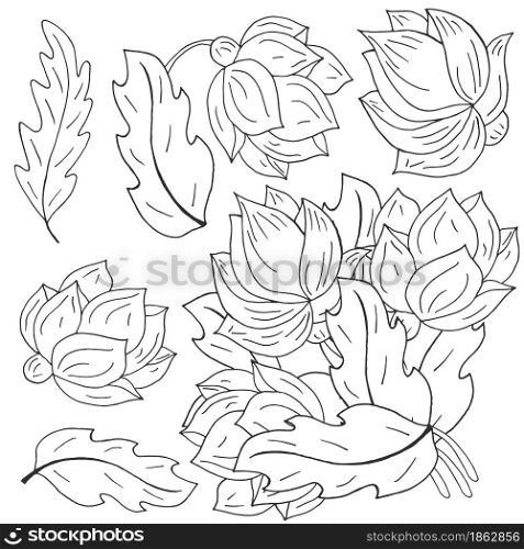 Peonies. Set of bouquets and flowers as separate elements. Monochrome peonies in hand drawing style. Vector flowers for cards, flyers, invitations. Floral illustration in hand draw style