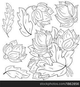 Peonies. Set of bouquets and flowers as separate elements. Monochrome peonies in hand drawing style. Vector flowers for cards, flyers, invitations. Floral illustration in hand draw style