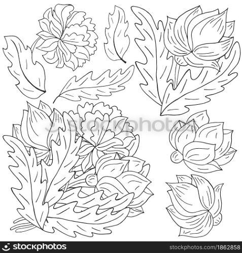 Peonies. Set of bouquets, inflorescences, leaves and flowers as separate elements. Monochrome peonies in hand drawing style. Vector flowers for flyers, invitations. Floral illustration in hand draw style