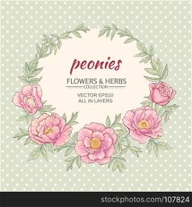 peonies vector frame. vector frame with pink peonies on color background