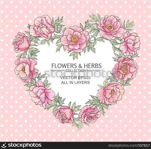 peonies vector frame. vector frame with pink peonies on color background