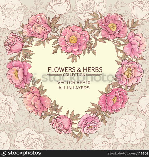 peonies vector heart. vector frame with pink peonies on color background