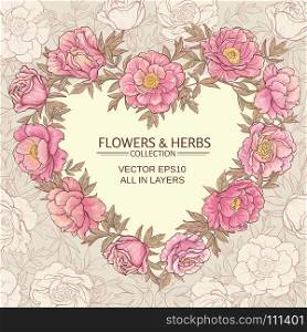 peonies vector heart. vector frame with pink peonies on color background