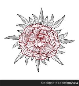 Peony blossom illustration. Flower line art. Peony flower print design. Coloring book page. Botanical decoration for invitation card, tattoo and boutique logo. Peony blossom illustration. Flower line art. Peony flower print design. Coloring book page. Botanical decoration for invitation card, tattoo and boutique logo.