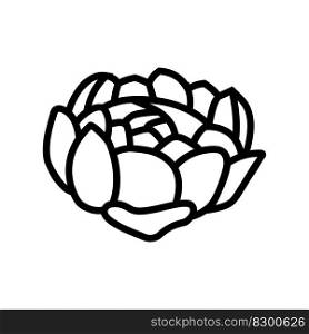 peony blossom spring line icon vector. peony blossom spring sign. isolated contour symbol black illustration. peony blossom spring line icon vector illustration