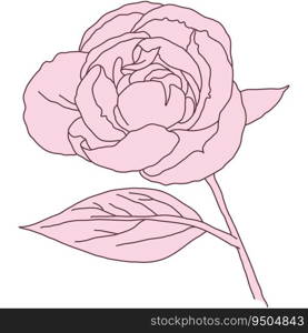 Peony flower and stem line filled pink color illustration. Hand drawn realistic detailed vector illustration clipart isolated.. Peony flower and stem line filled pink color illustration. Hand drawn realistic detailed vector illustration clipart.