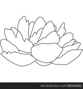Peony flower blooming line art. Hand drawn realistic detailed vector illustration. Black and white clipart isolated.. Peony flower blooming line art. Hand drawn realistic detailed vector illustration. Black and white clipart.