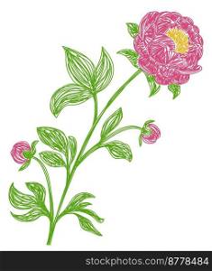 Peony flower. Hand drawn floral vector illustration. Pen or marker sketch. Hand drawn design print. Natural pencil drawing.