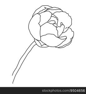 Peony flower in bloom on stem li≠art. Hand drawn realistic detai≤d vector illustration. Black and white clipart isolated.. Peony flower in bloom on stem li≠art. Hand drawn realistic detai≤d vector illustration. Black and white clipart.