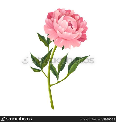 Peony Realistic Illustration . Single peony flower with leaves realistic isolated vector illustration for decoration