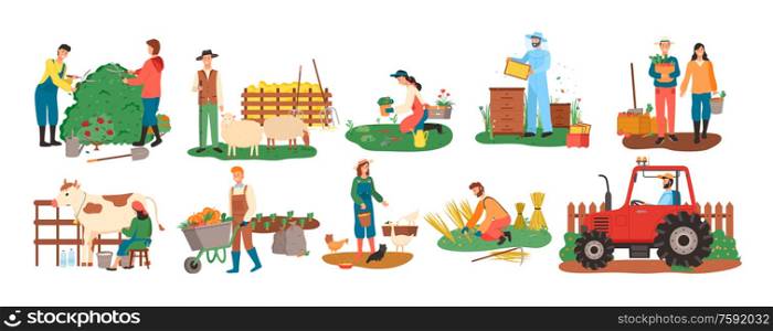 People at farm vector, farmers with cow and pigs, woman feeding chickens, couple with carrot basket, harvesting season. Bee honey and tractor cultivation. Farming People, Harvesting Seasonal Activity Set