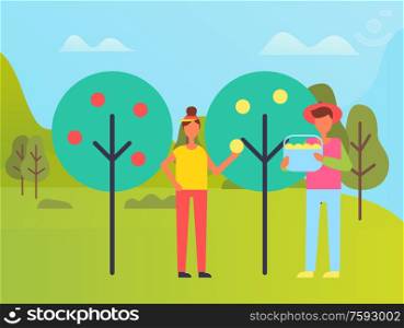 People busy with harvesting vector, man and woman holding buckets loaded with fruits. Farming season, trees with apples and lush pears, rural area. Farmer Man and Woman Harvesting, Trees Orchard