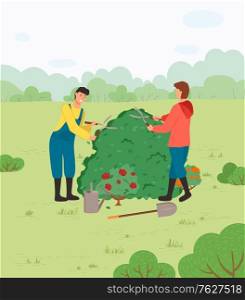 People cutting green bush with gardening scissors. Digging the ground with a shovel. Plants cultivating, agriculture horticulture vector illustration. Farmer work on farm. People Cutting Bush with Gardening Scissors Vector