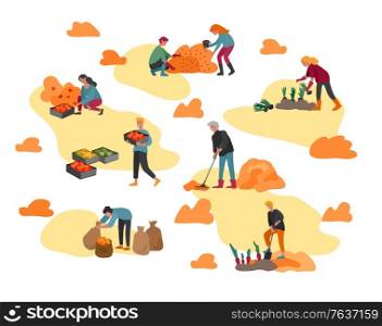 People gathering crops or seasonal harvest, collecting ripe vegetables, picking fruits and berries, remove leaves. Men, women work on a farm. Agricultural workers in autumn. Cartoon vector illustration. People gathering crops or seasonal harvest, ollecting ripe vegetables, picking fruits and berries, remove leaves. Men, women work on a farm. Agricultural workers in autumn. Cartoon vector