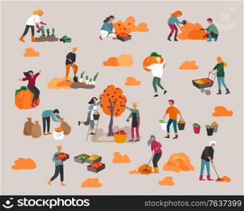People gathering crops or seasonal harvest, collecting ripe vegetables, picking fruits and berries, remove leaves. Men, women work on a farm. Agricultural workers in autumn. Cartoon vector illustration. People gathering crops or seasonal harvest, ollecting ripe vegetables, picking fruits and berries, remove leaves. Men, women work on a farm