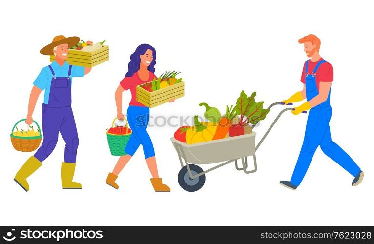 People harvesting on farm vector, isolated man and woman carrying pire vegetables. Character with cart transporting pumpkins and carrots beetroots. People Working on Farm Agrarians Harvesting Team