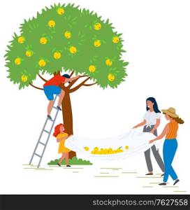People harvesting vector, man and woman picking apples in garden. Ladies holding cloth, flat style characters in farm. Farmers in yard by tree autumn. Pick apples concept. Flat cartoon. People Picking Apples Woman Helping Man Harvesting
