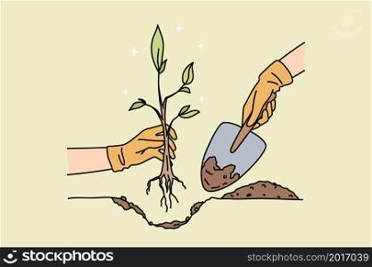 People with shovel plant small tree with roots in ground. Gardener with seedling in hands take care of environment. Gardening and agriculture concept. Environmental change. Vector illustration. . Person with shovel plant tree in ground