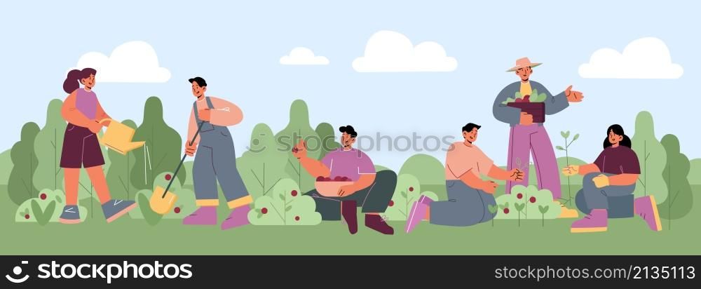 People work in garden, plant flowers and vegetables, harvest berries. Vector flat illustration of farmers or volunteers gardening together on farm, yard or public park. People work in garden, plant and harvest
