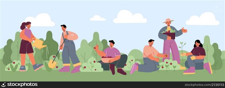 People work in garden, plant flowers and vegetables, harvest berries. Vector flat illustration of farmers or volunteers gardening together on farm, yard or public park. People work in garden, plant and harvest