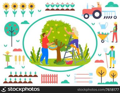 People working in garden vector, man and woman picking pears from tree on farm. Sunflowers and tractor, scarecrow and personage with rakes, carrots and spade. Farmers work. People Picking Pears in Garden, Farmers Farming