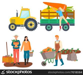 People working on farm vector, isolated tractor with character loading beetroots and carrots. Personage with harvested products, cart with pumpkin. Farming People, Tractor Transportation of Goods