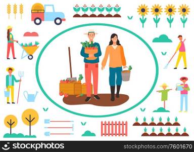 People working on field vector, farmers on plantation with carrots, man and woman flat style. Sunflowers and orchard, scarecrow and transport van. Farming Man and Woman Harvesting, Farmers Vector