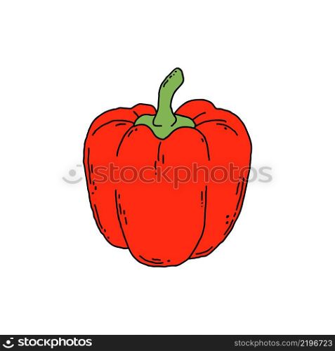 Pepper in doodle style isolated on white background.