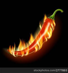 Pepper on fire on a black background . EPS10. Mesh.