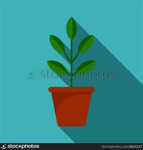 Pepper plant pot icon. Flat illustration of pepper plant pot vector icon for web design. Pepper plant pot icon, flat style
