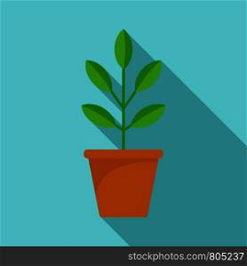 Pepper plant pot icon. Flat illustration of pepper plant pot vector icon for web design. Pepper plant pot icon, flat style