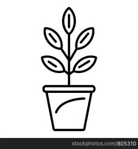 Pepper plant pot icon. Outline pepper plant pot vector icon for web design isolated on white background. Pepper plant pot icon, outline style