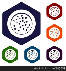 Peppercorns on a plate icons set hexagon isolated vector illustration. Peppercorns on a plate icons set hexagon
