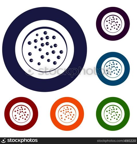Peppercorns on a plate icons set in flat circle red, blue and green color for web. Peppercorns on a plate icons set