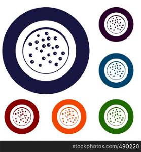 Peppercorns on a plate icons set in flat circle red, blue and green color for web. Peppercorns on a plate icons set