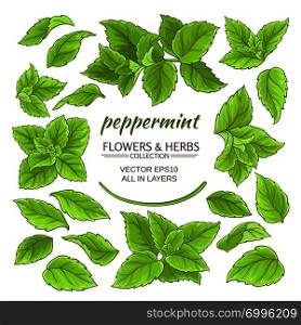 peppermint plant elements set on white background. peppermint elements set