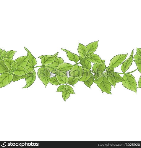 peppermint vector pattern. peppermint leaves vector pattern on white background