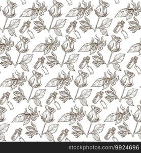Perfumes in small bottle, scent of roses seamless pattern of flower with petals and leaves. Botanical decoration, aromatherapy cosmetics products. Monochrome sketch outline, vector in flat style. Rose flowers and decorative bottles monochrome seamless pattern
