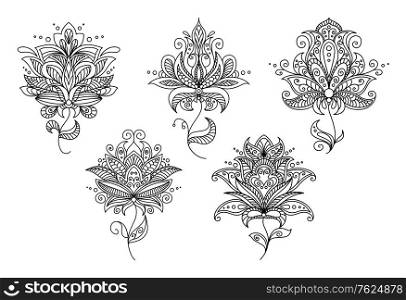 Persian and indian paisley floral elements set for retro design