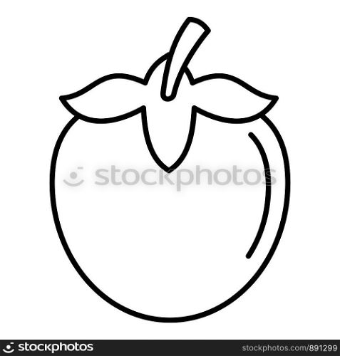 Persimmon fruit icon. Outline persimmon fruit vector icon for web design isolated on white background. Persimmon fruit icon, outline style