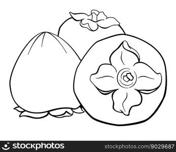 Persimmon, fruits with stalk - vector line art picture with vegetable food for coloring, logo or pictogram. Outline. The fruit of the persimmon tree is a healthy wholesome food.