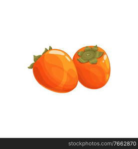 Persimmon kaki fruit, tropical exotic food, vector isolated icon. Persimmon kaki fruits, tropic farm garden exotic fruits harvest and fruity sweet dessert. Persimmon kaki fruit, tropical exotic fruits food