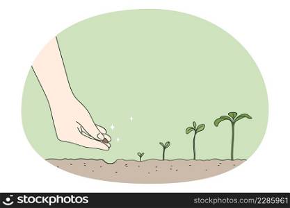 Person hand plant seed in ground watch tree development stages. Gardener put seedling in soil. Timeline and growth metaphor. Gardening and agriculture concept. Vector illustration. . Person put seed in ground