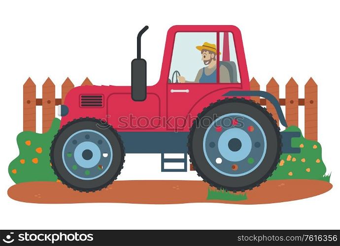 Person riding tractor vector, farmer busy with agricultural work flat style farming man in machinery for husbandry. Fence with bushes and flowers. Man Driving Tractor Agriculture and Farming Vector