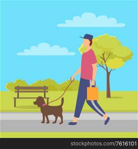 Person wearing casual clothes and cap, dog domestic animal with lead, human holding package. Vector city park with bench and man walking with pet. Person Going with Dog, Character with Pet Vector