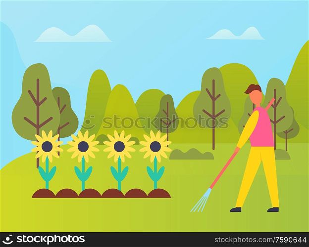 Person working on field of sunflowers vector, man using rakes to cultivate soil for fertility. Confield with blooming flowers, sunny weather in forest. Sunflower Field and Green Forest, Farming Period