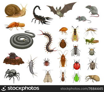 Pests insects disinfection, animals deratization. Cartoon vector snail, scorpion and bat, mouse, rat and termite, snake, centipede and flea, bedbug, fly and wasp, mosquito, locust and colorado beetle. Agricultural, home pests, insects and animals set