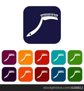 Pet comb icons set vector illustration in flat style In colors red, blue, green and other. Pet comb icons set flat