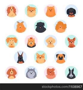 Pet cute faces. Cute dog head. Poodle, funny yorkshire terrier, pomeranian spitz and labrador retriever. Purebred dogs muzzle vector illustration set. Social network circular avatars. Flat icon pack. Pet cute faces. Cute dog head. Poodle, funny yorkshire terrier, pomeranian spitz and labrador retriever. Purebred dogs muzzle vector illustration set. Social network round profile avatars. Flat icons