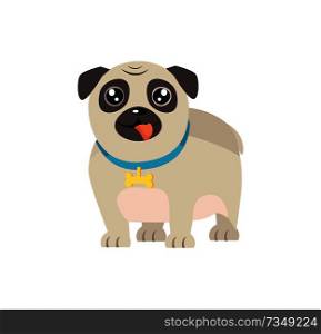 Pet dog in flat design cartoon style with bone on collar vector of cute domestic animal isolated on white, friendly bulldog puppy isolated on white. Pet Dog in Flat Design Cartoon Style with Bone